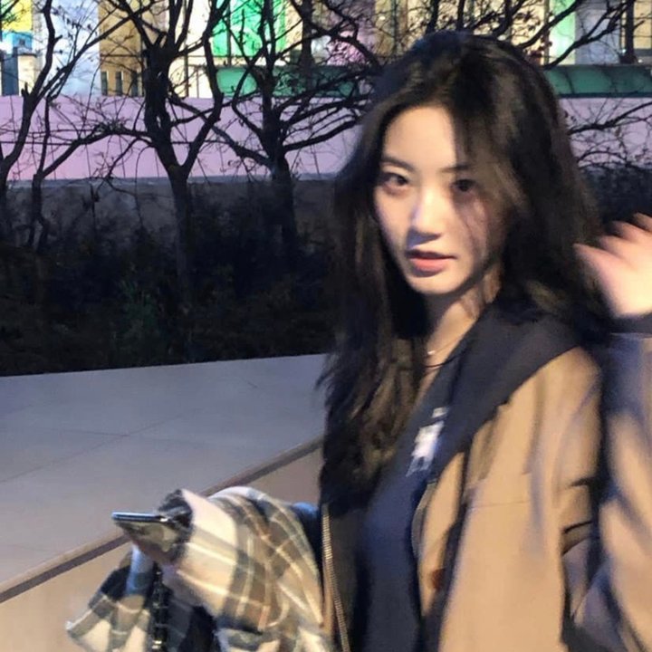我的朋友是萌鲨